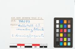 Foto von Bronzebuckelarmreif (NHMW-PRAE-078073)